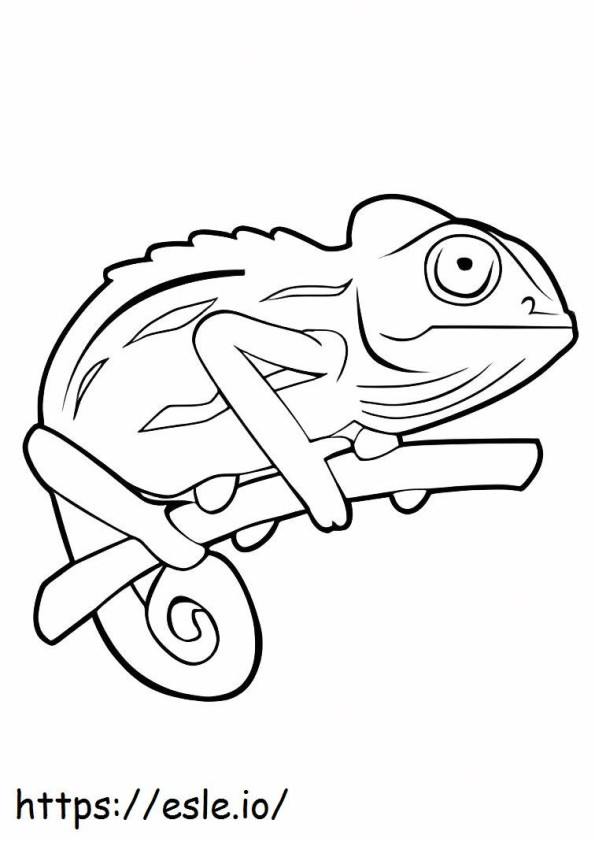 Great Chameleon coloring page
