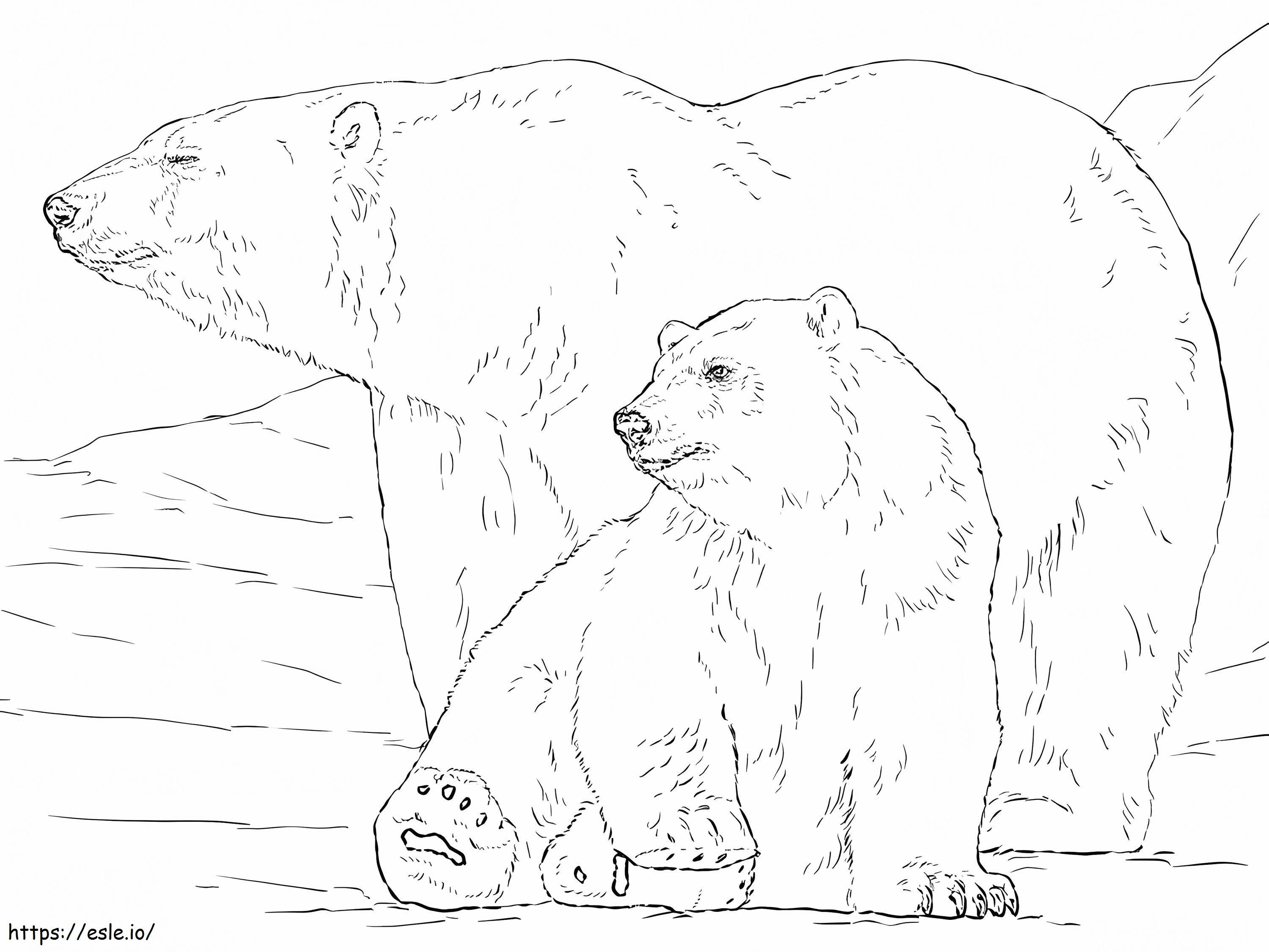 Orso polare con il bambino da colorare