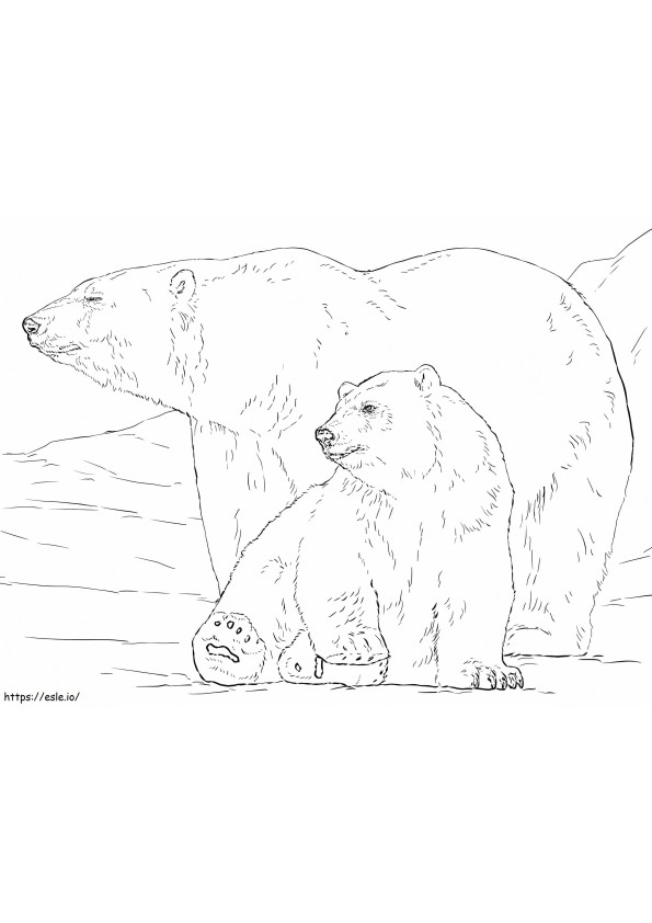 Coloriage Ours polaire avec bébé à imprimer dessin