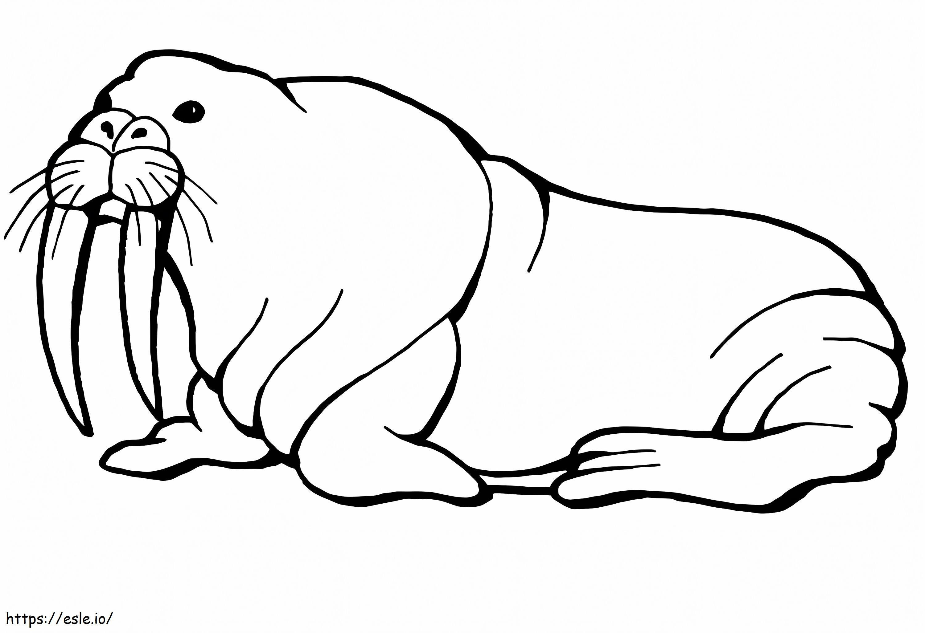 Normal Walrus coloring page