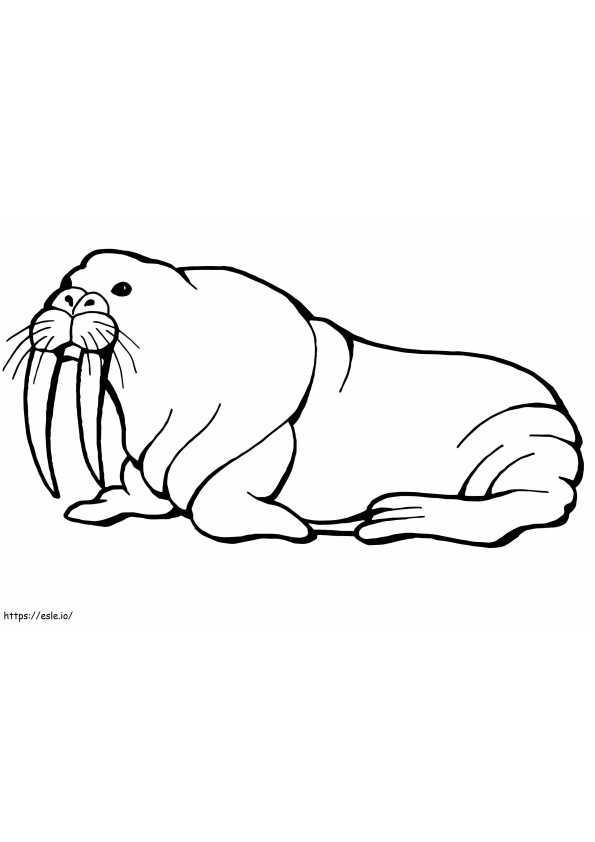 Normal Walrus coloring page