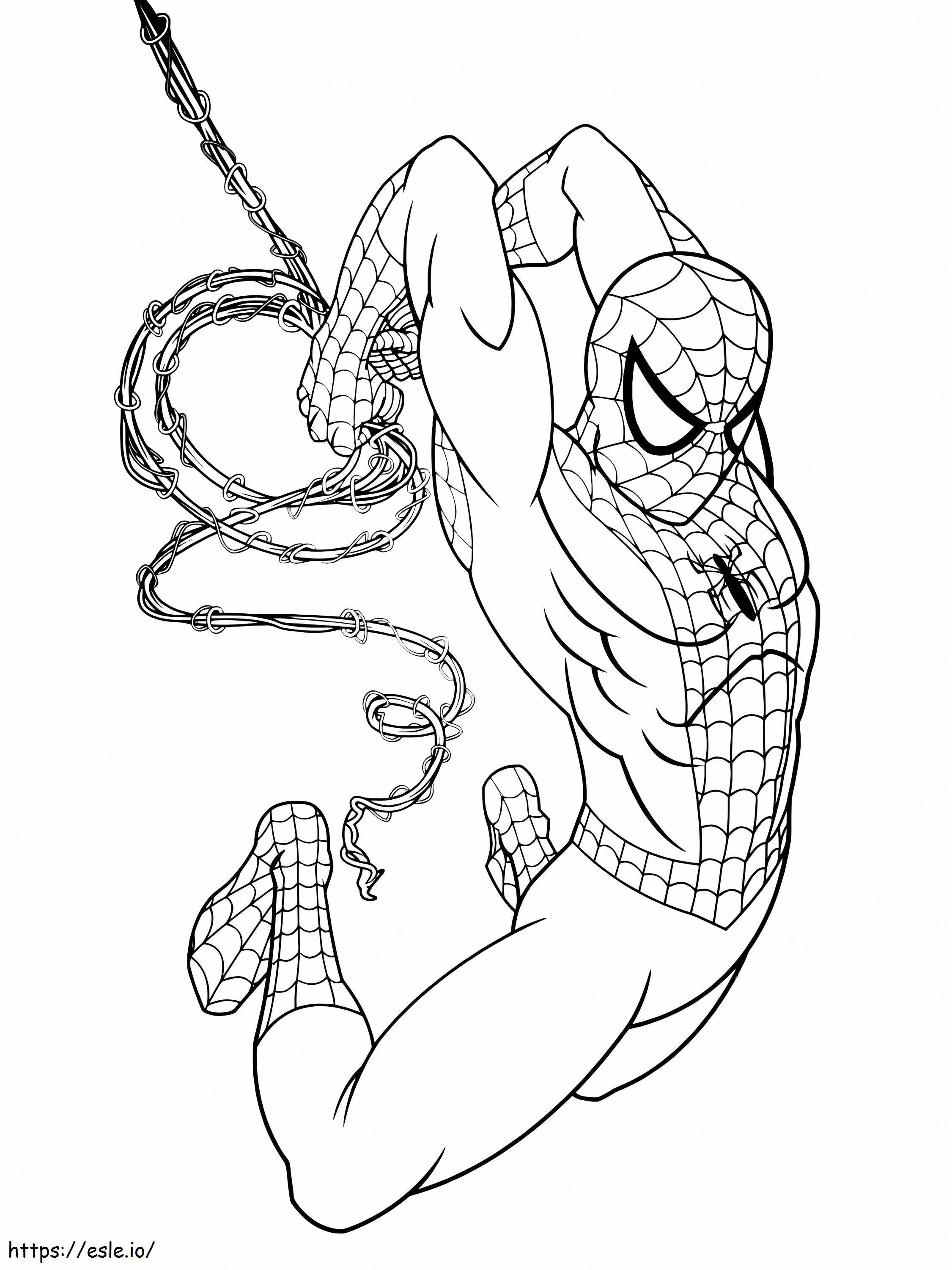 Spiderman 2 värityskuva