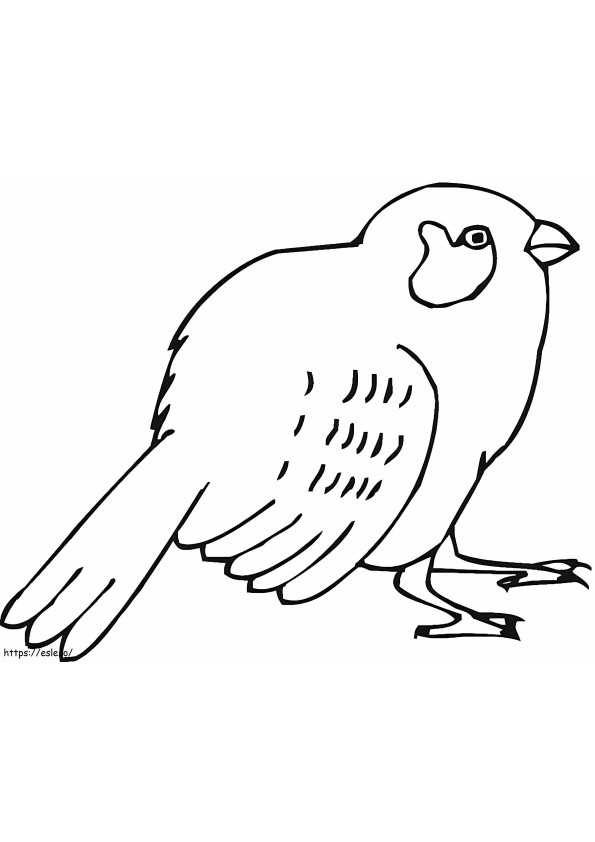 Printable Sparrow coloring page