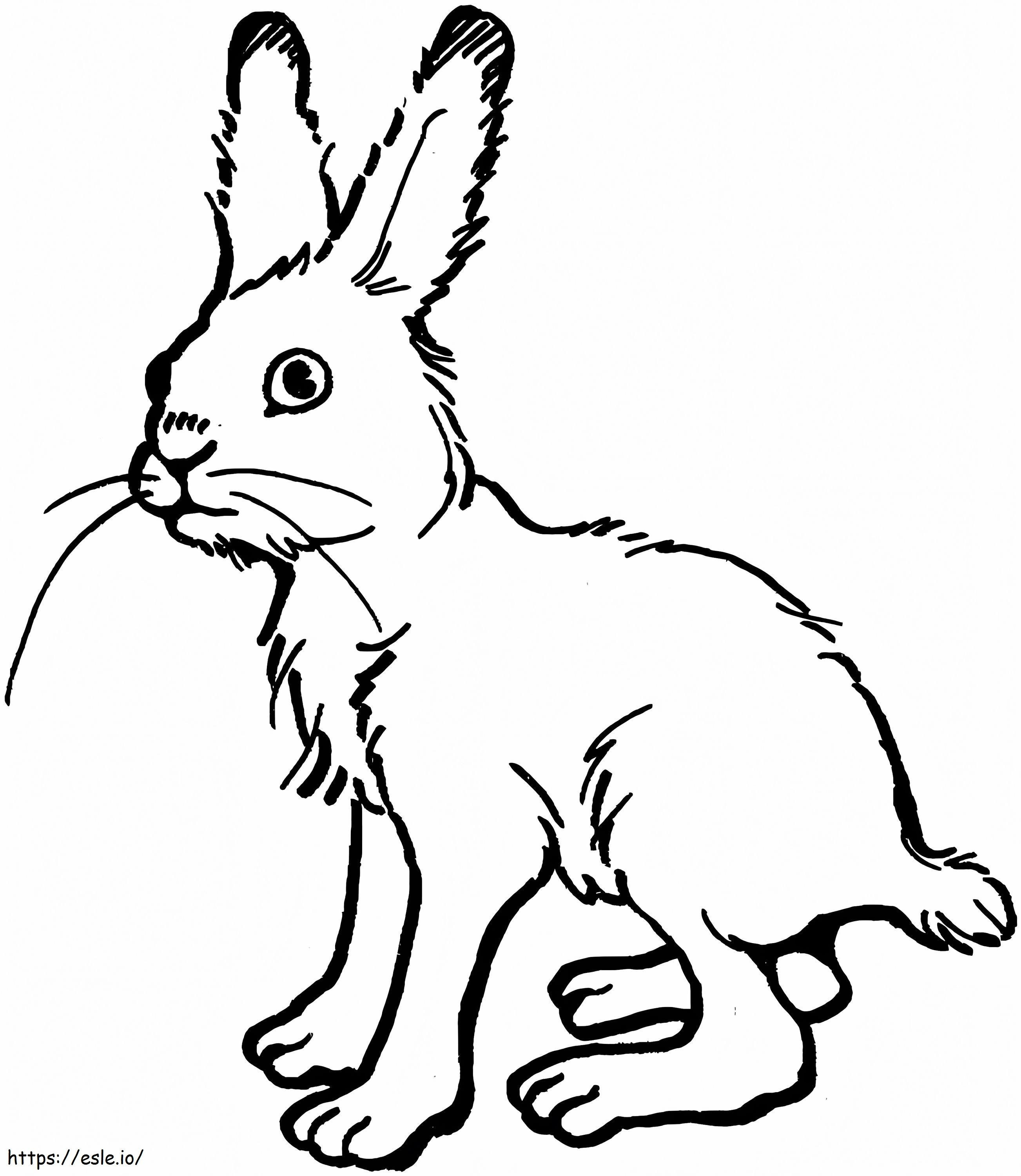 Uggly Rabbit coloring page