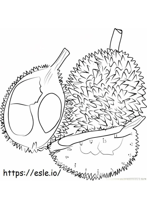 Durian Color By Number coloring page