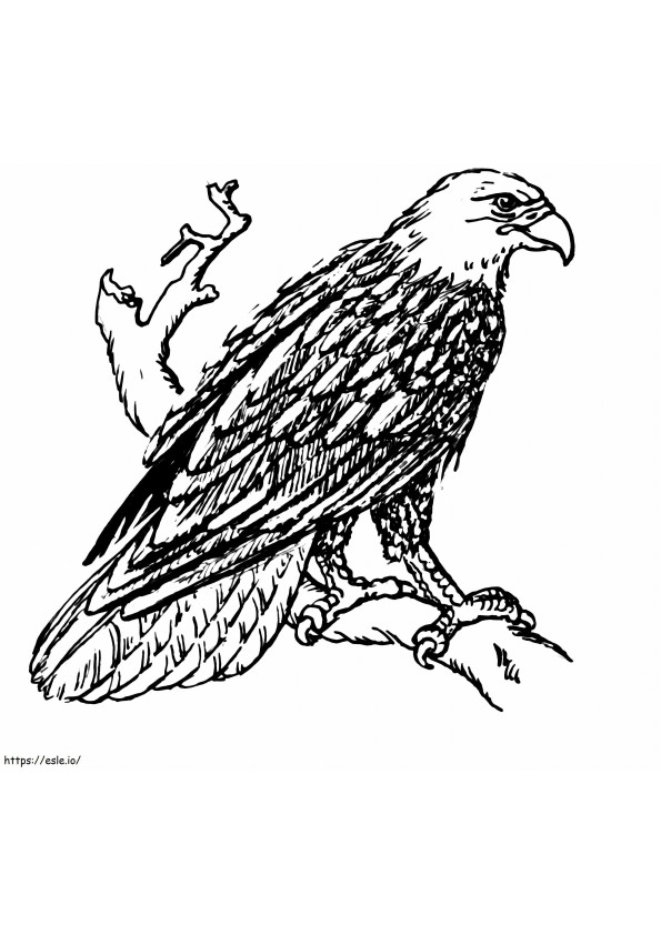 Hand Drawn Eagle