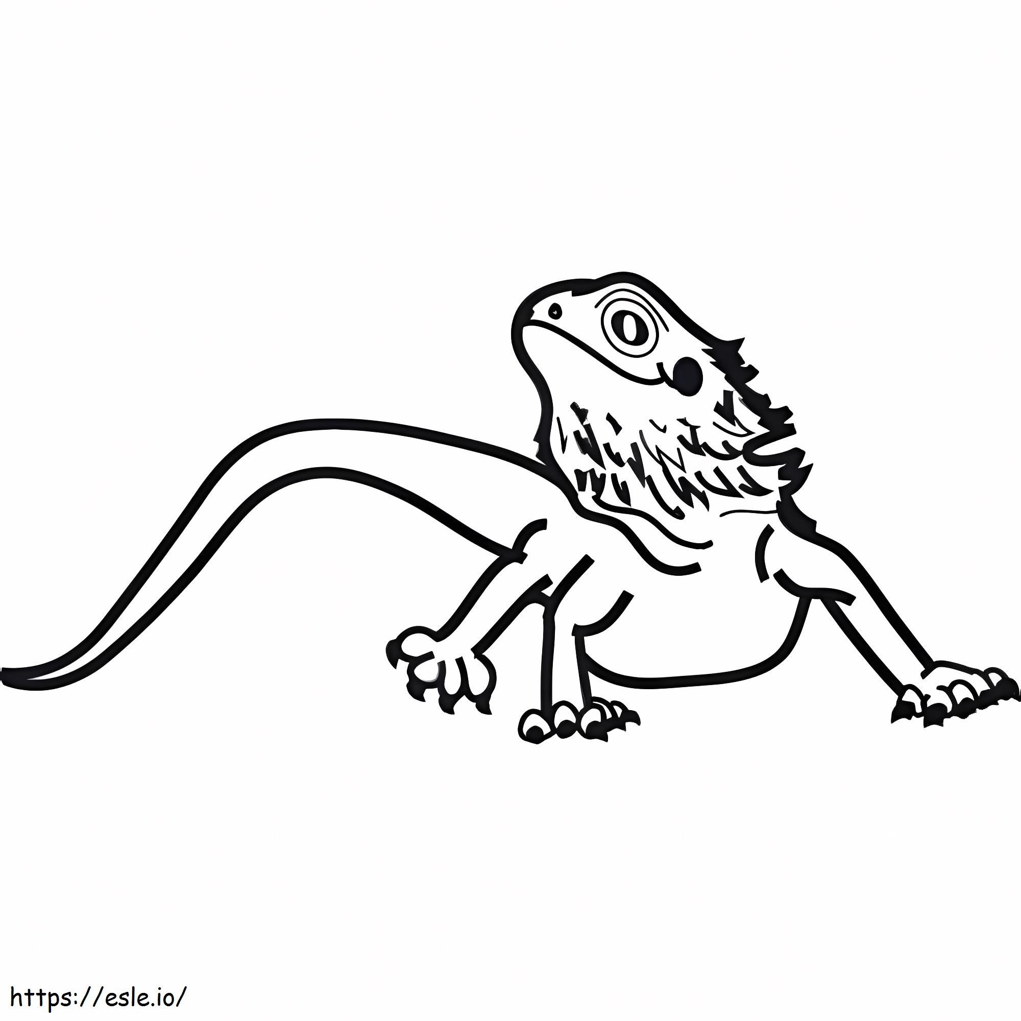 bearded dragon coloring page