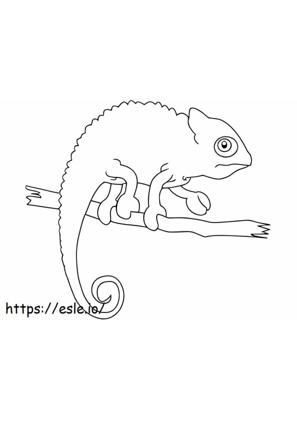 Good Chameleon coloring page