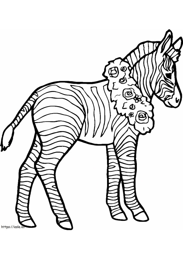 Zebra usa uma coroa em volta do pescoço para colorir