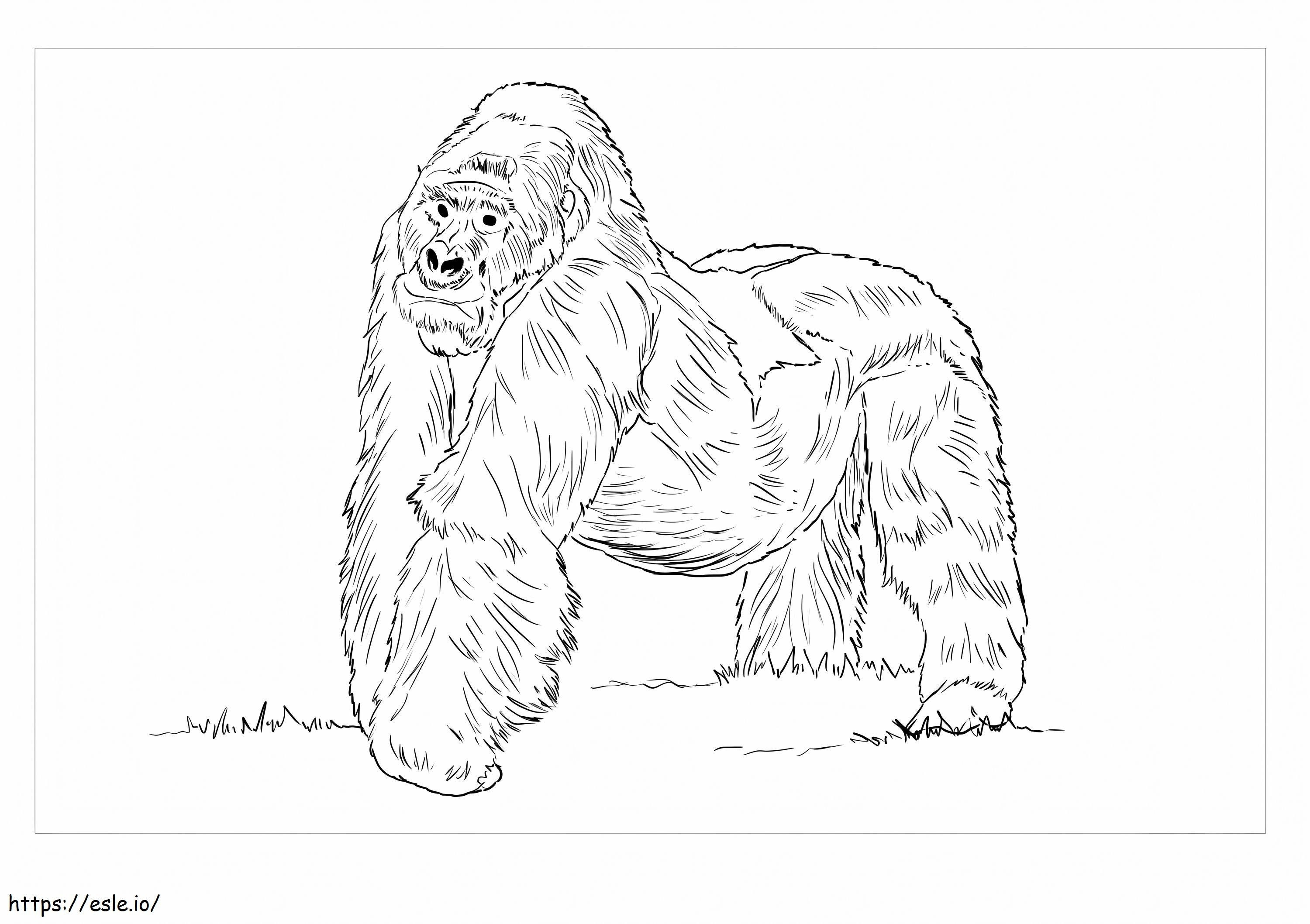 Gorila de montaña para colorear