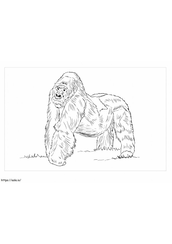 Coloriage Gorille des montagnes à imprimer dessin
