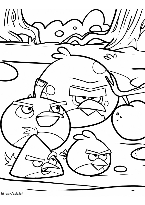 Quatro Angry Birds para colorir