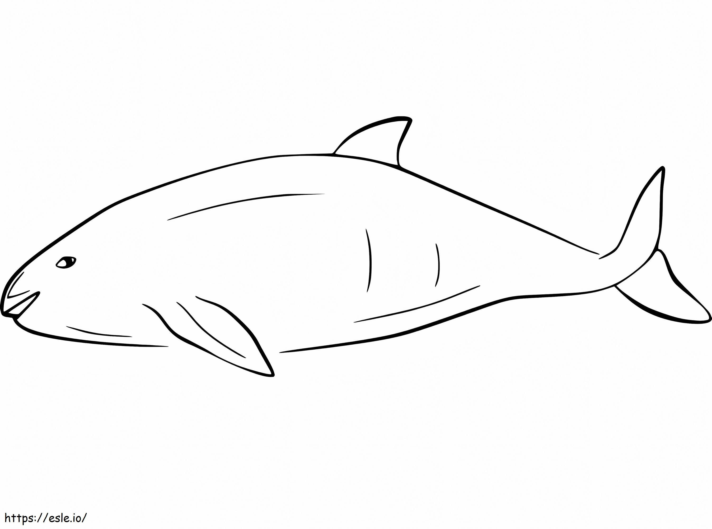 Schweinswal ausmalbilder