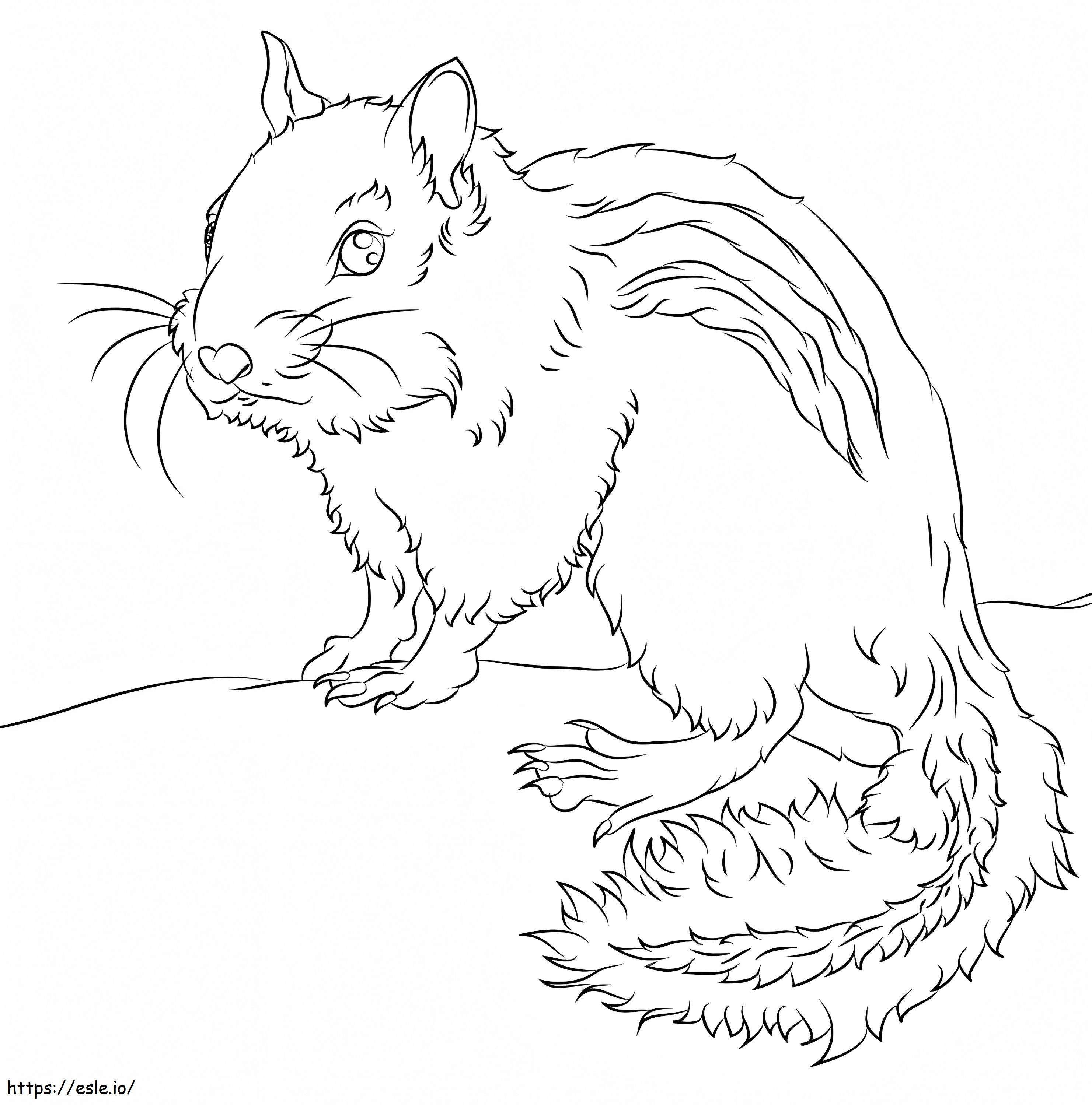 A Chipmunk coloring page