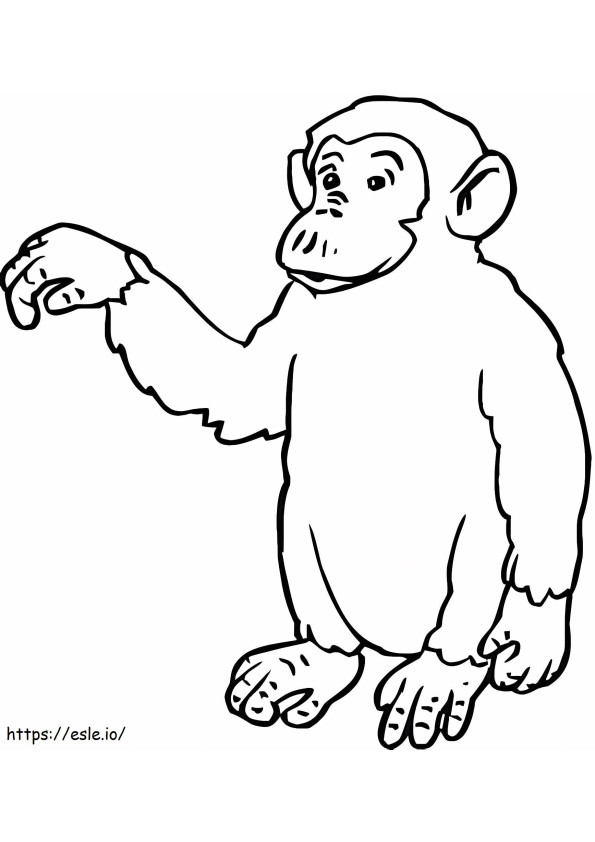 Staande aap kleurplaat