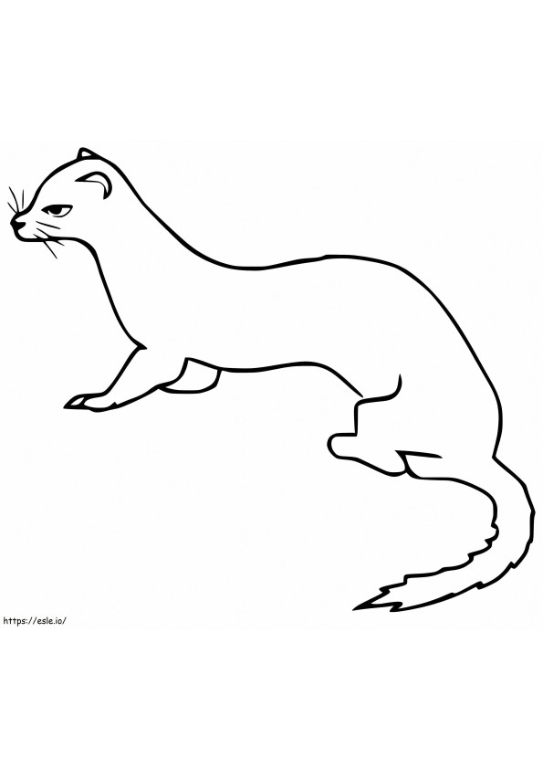 Weasel 13 coloring page