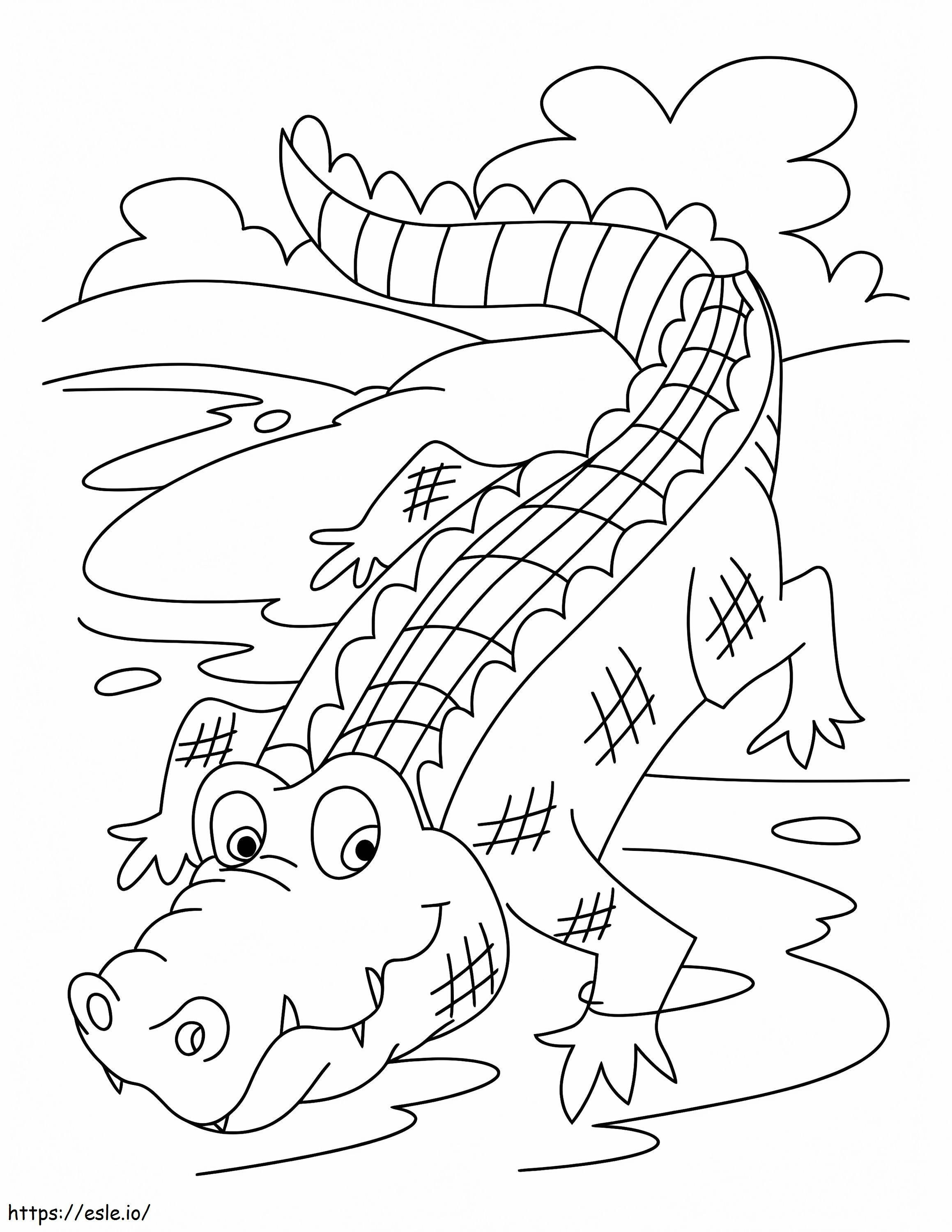 Coloriage Crocodile drôle à imprimer dessin