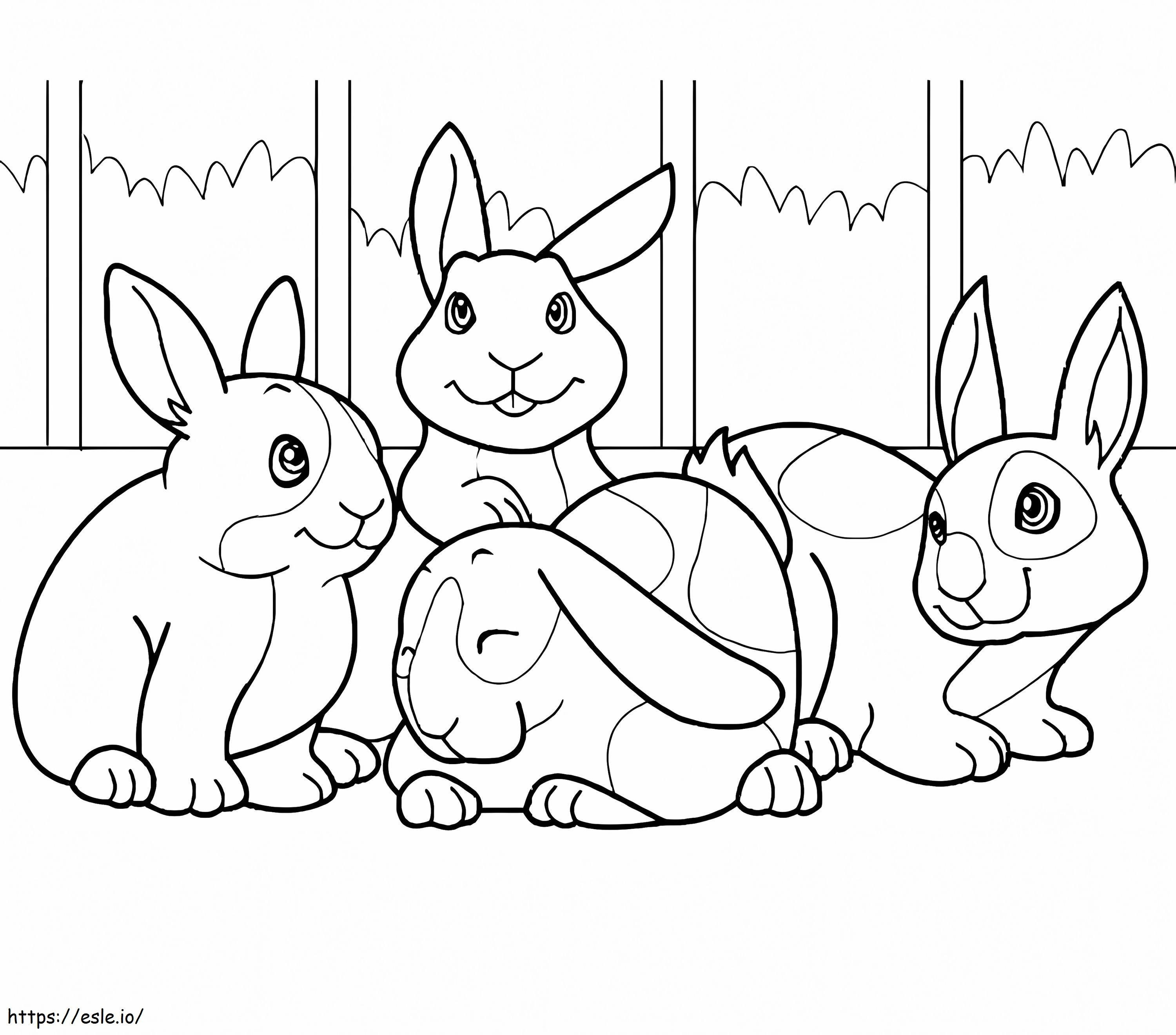 Conigli domestici da colorare