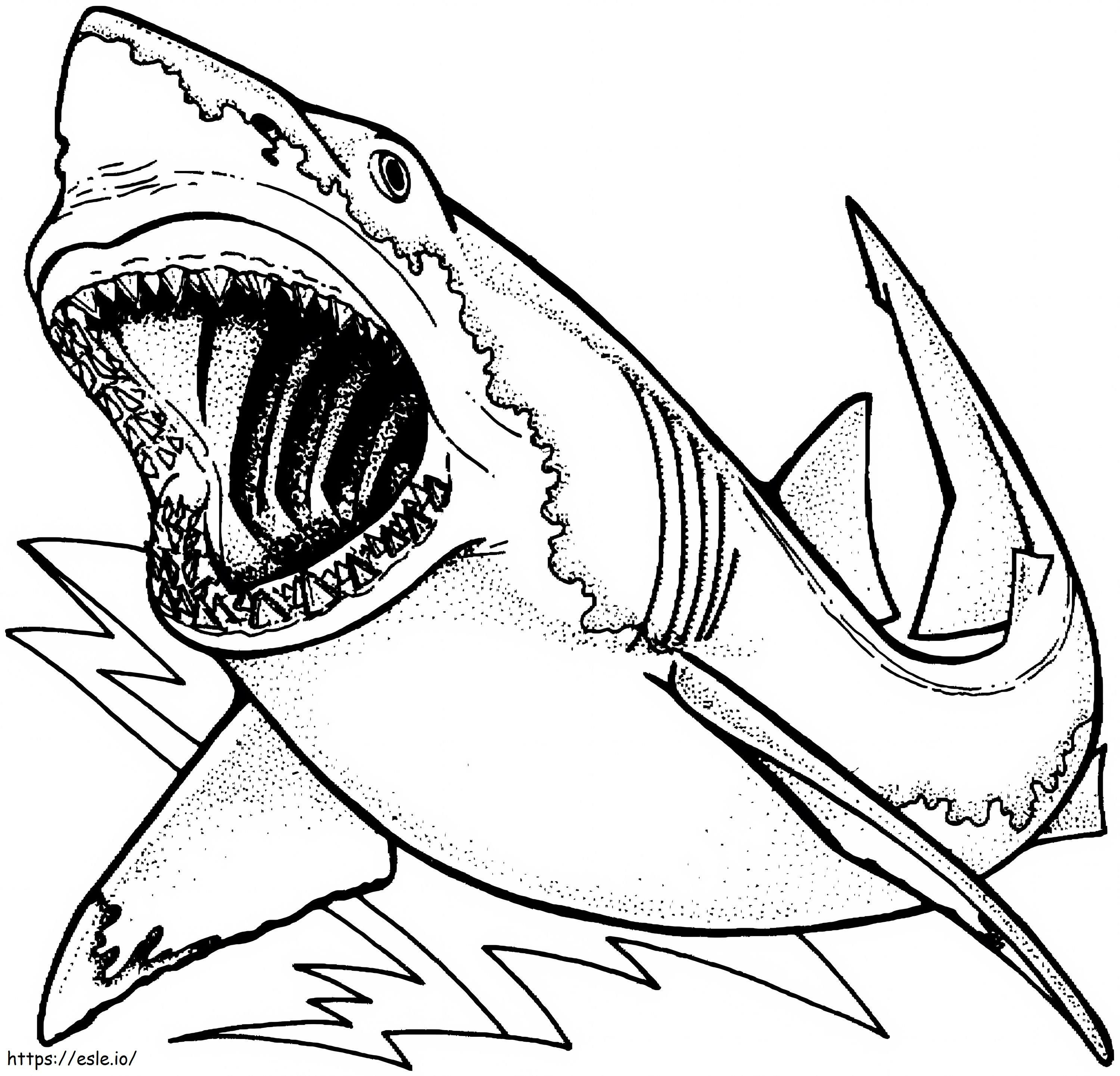 Basic Tiburon coloring page