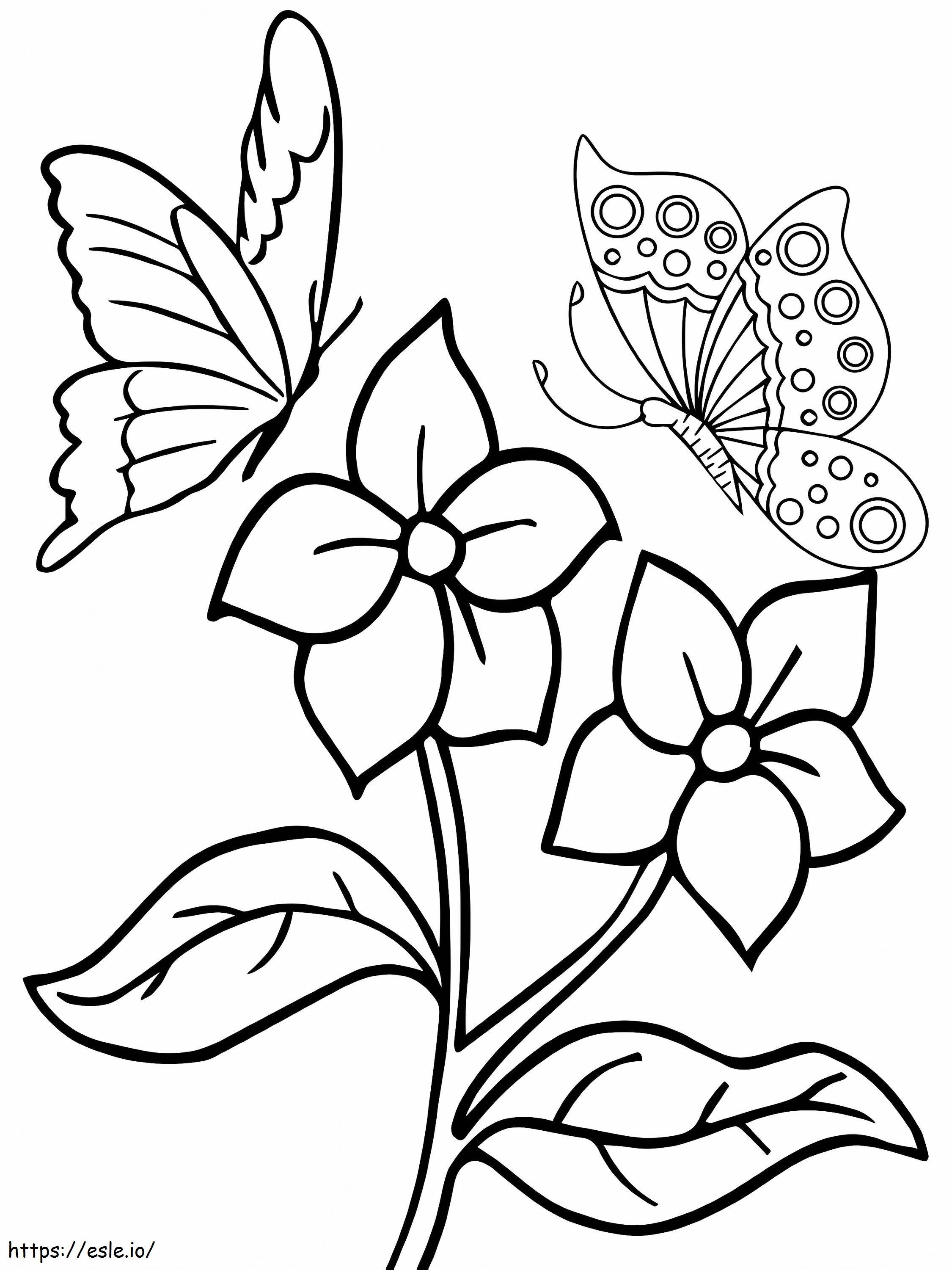 Two Lovely Flowers And Butterflies coloring page