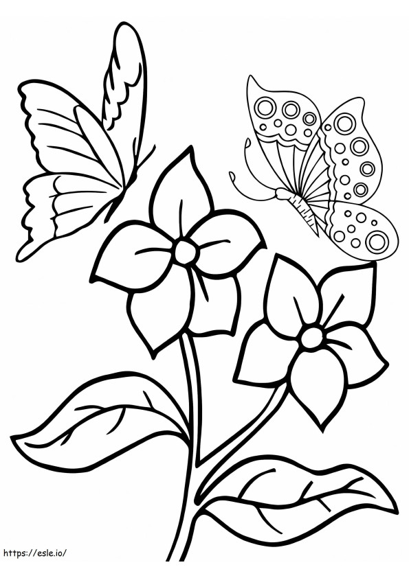 Two Lovely Flowers And Butterflies coloring page