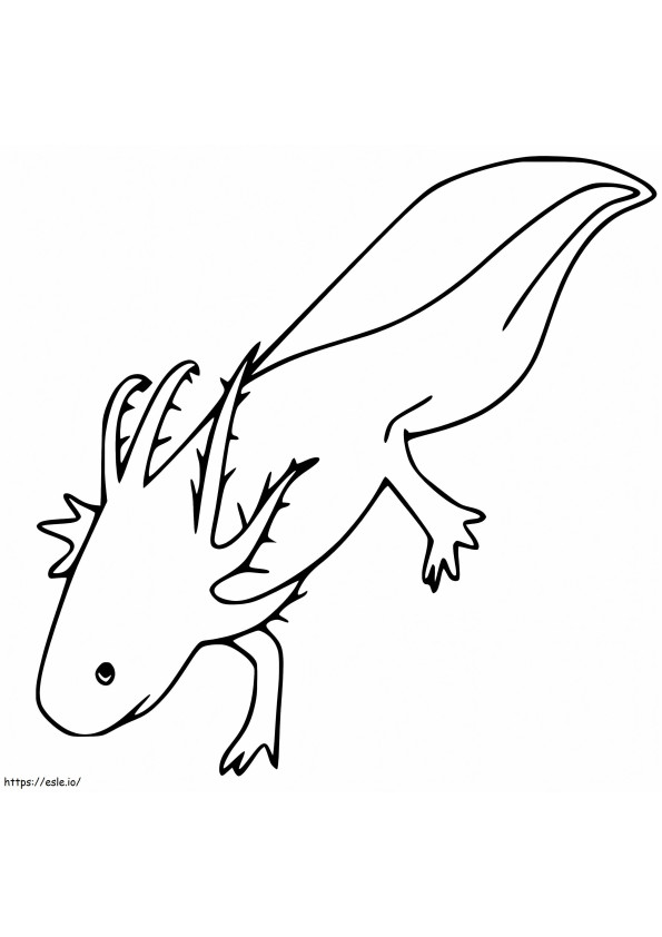 Simple Axolotl coloring page