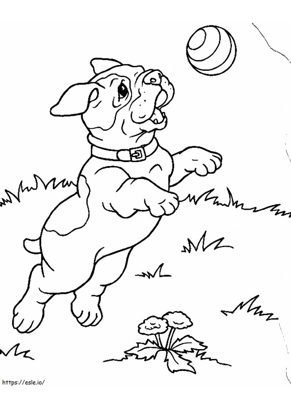 Insect Pup coloring page