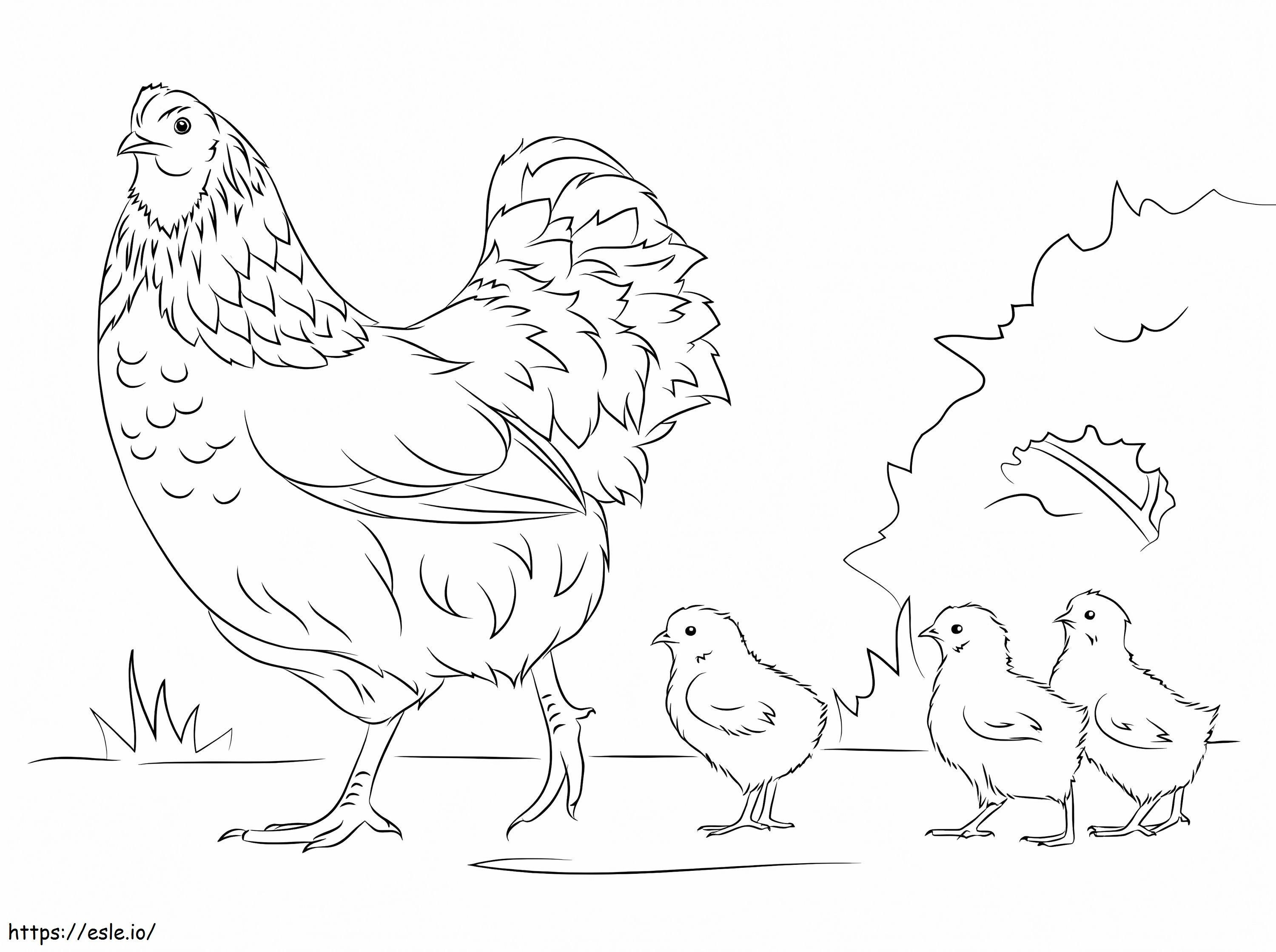 galinha e pintinhos para colorir