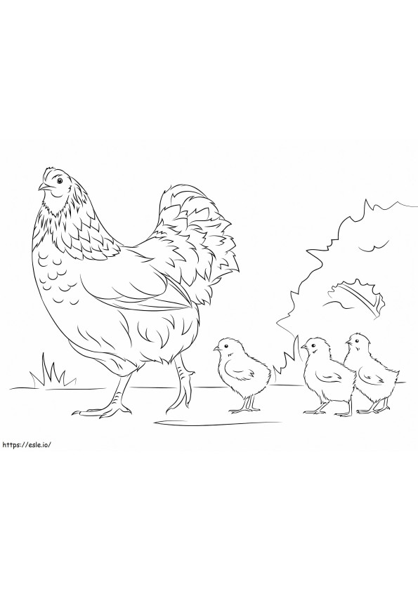 鶏とひよこ ぬりえ - 塗り絵