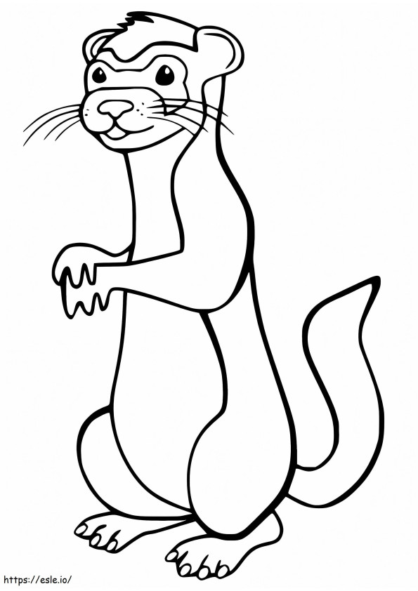 Ferret 11 coloring page