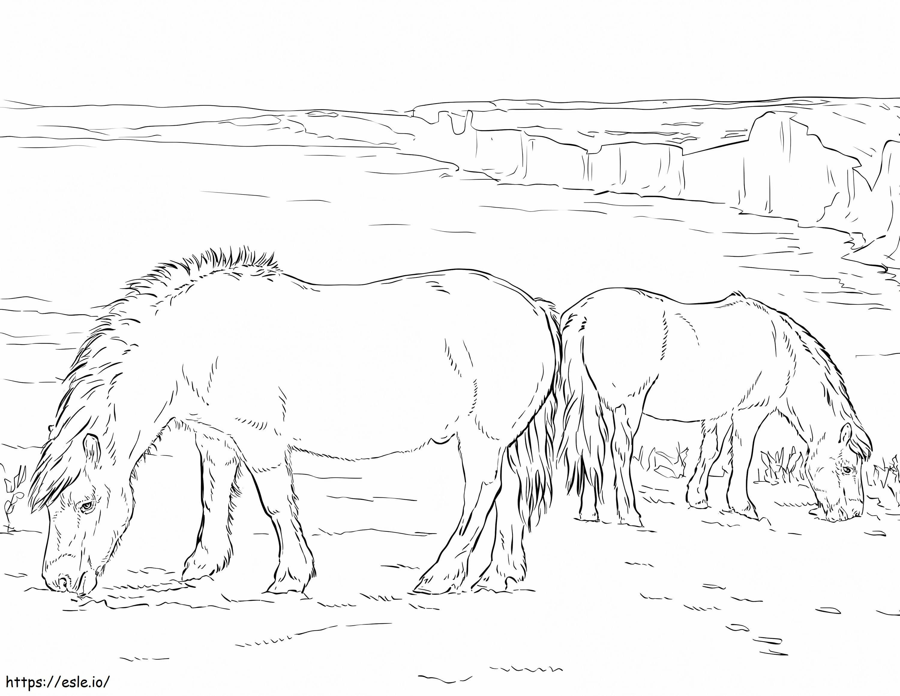 Coloriage Deux poneys à imprimer dessin