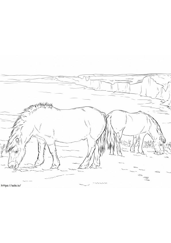 Coloriage Deux poneys à imprimer dessin