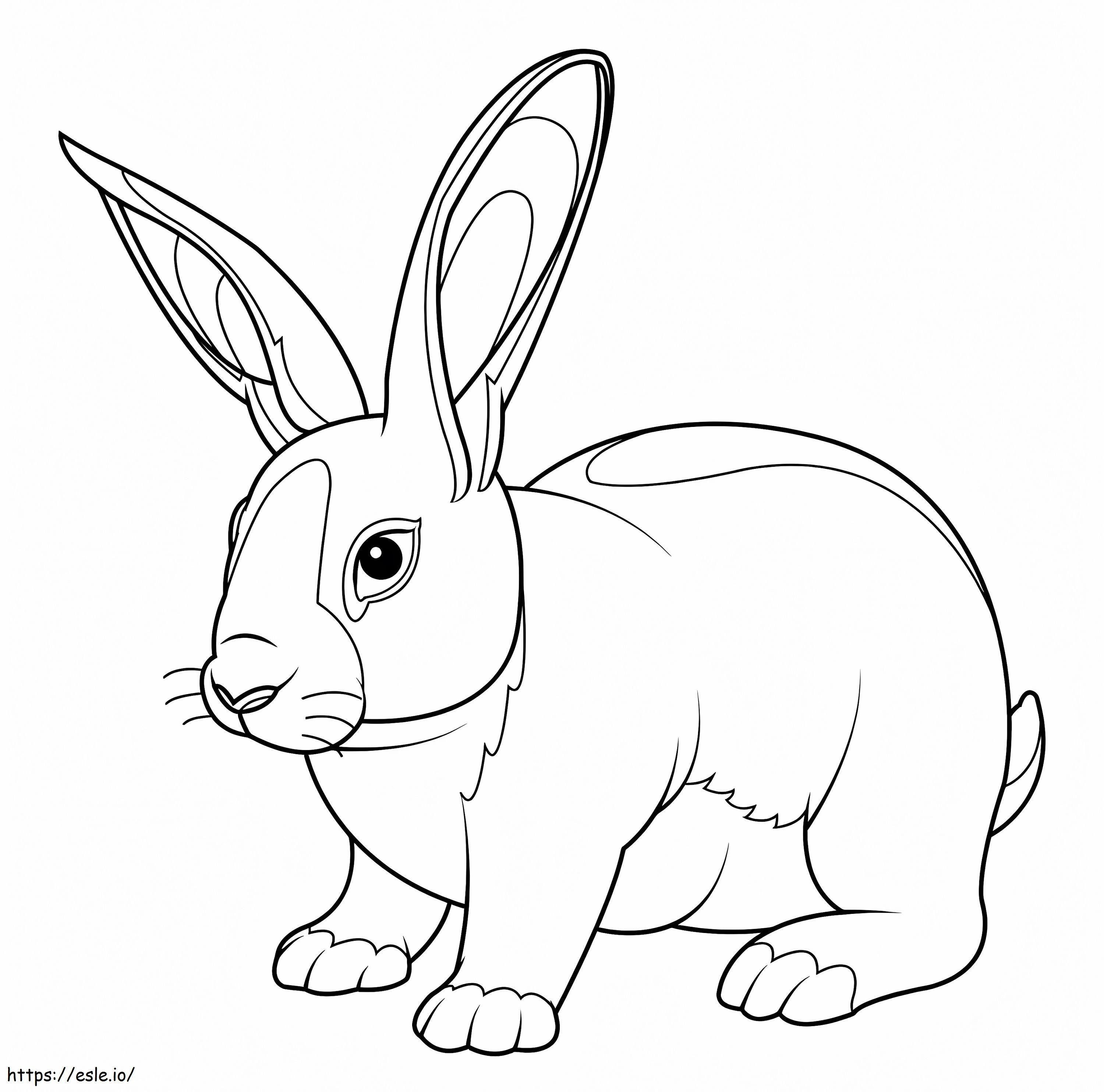 coelho normal para colorir