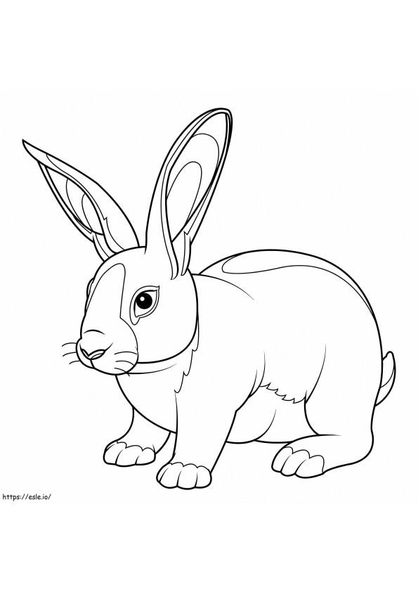 coelho normal para colorir