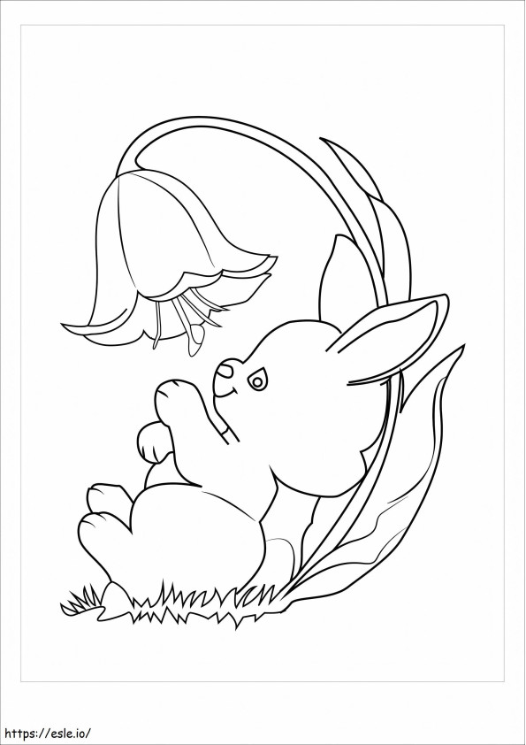 Bunny With Flower coloring page