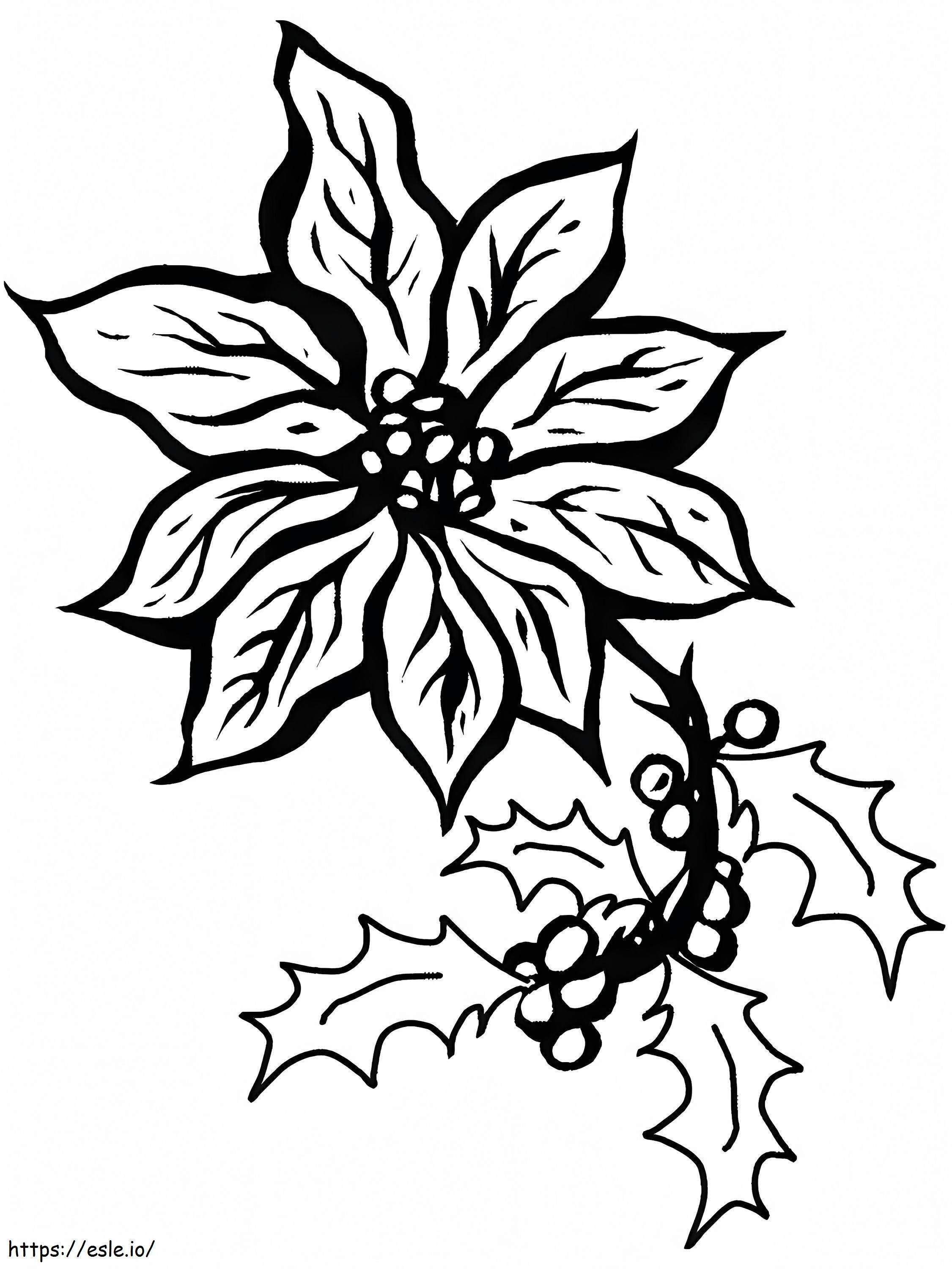 Coloriage  Poinsettia5A4 à imprimer dessin