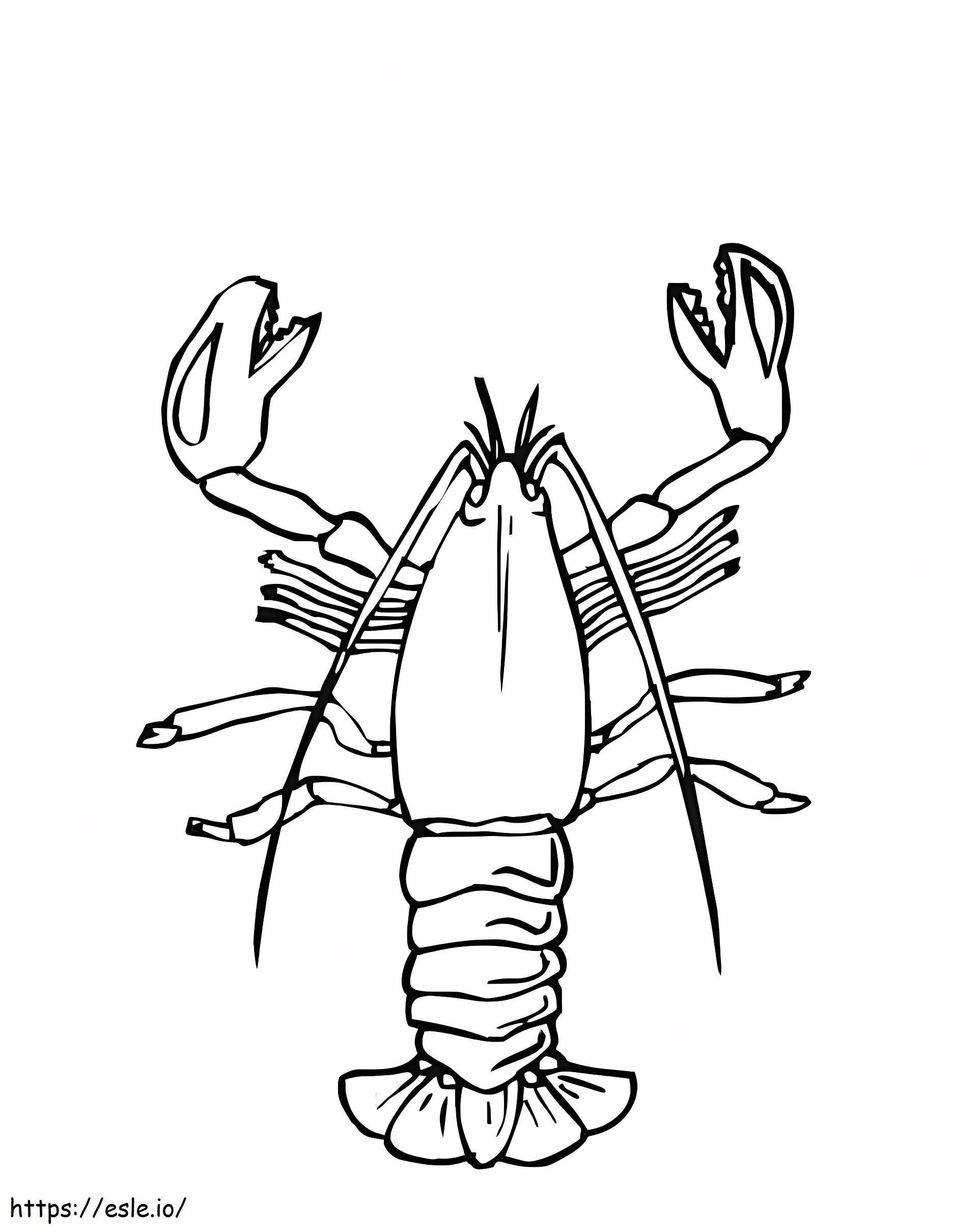 Big Lobster coloring page