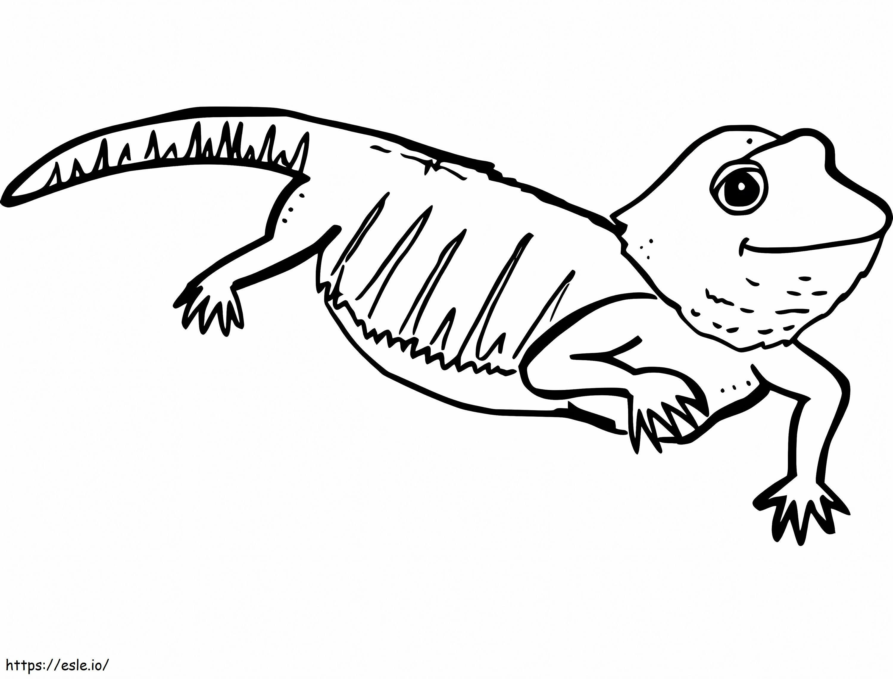 Cute Bearded Dragon coloring page