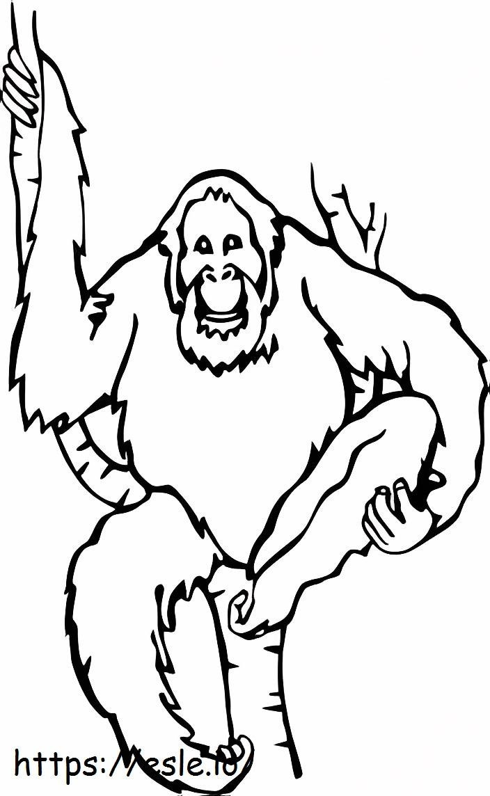 desenho de orangotango para colorir