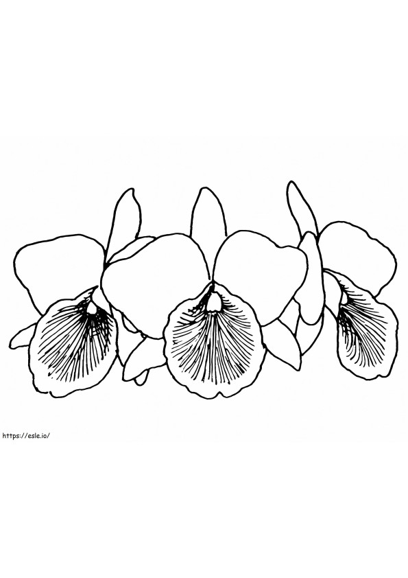 Coloriage Trois orchidées à imprimer dessin