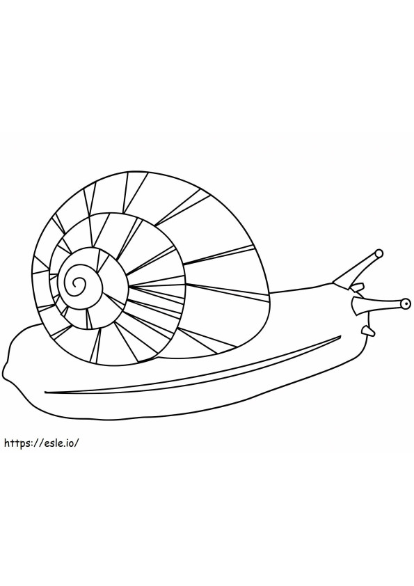 A Snail A4