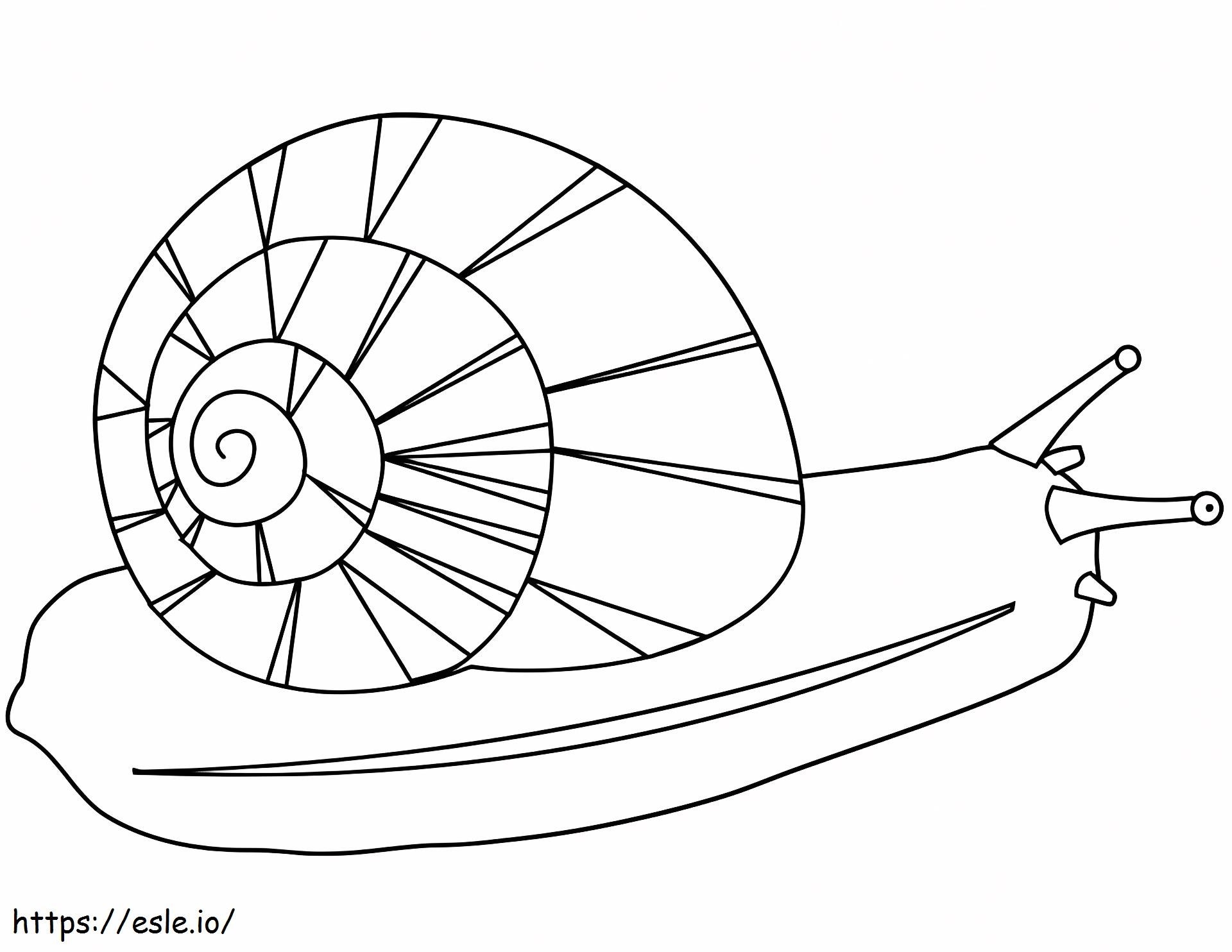 A Snail A4 coloring page