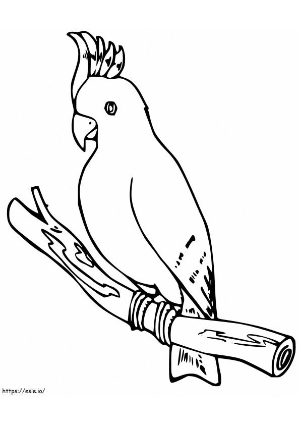 Yazdırılabilir Sultan papağanı boyama