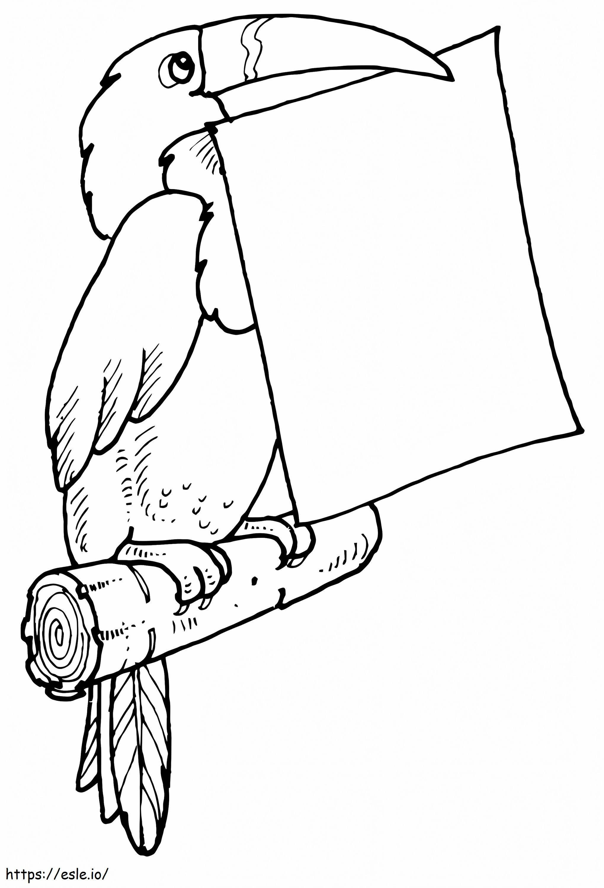  Tukan trzymający list A4 kolorowanka