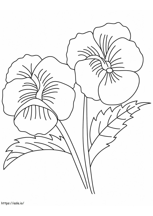 Free Printable Pansy Flower coloring page