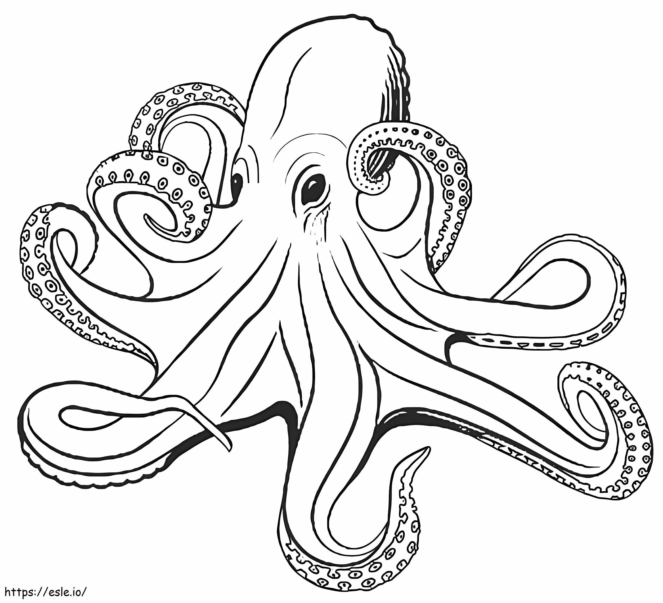 Basis Octopus kleurplaat kleurplaat