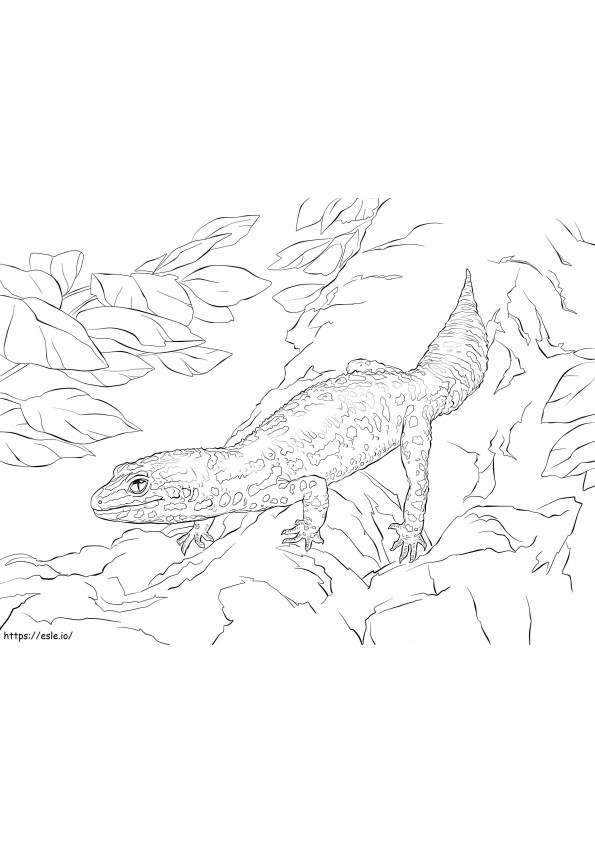 Coloriage Gecko léopard 1 à imprimer dessin