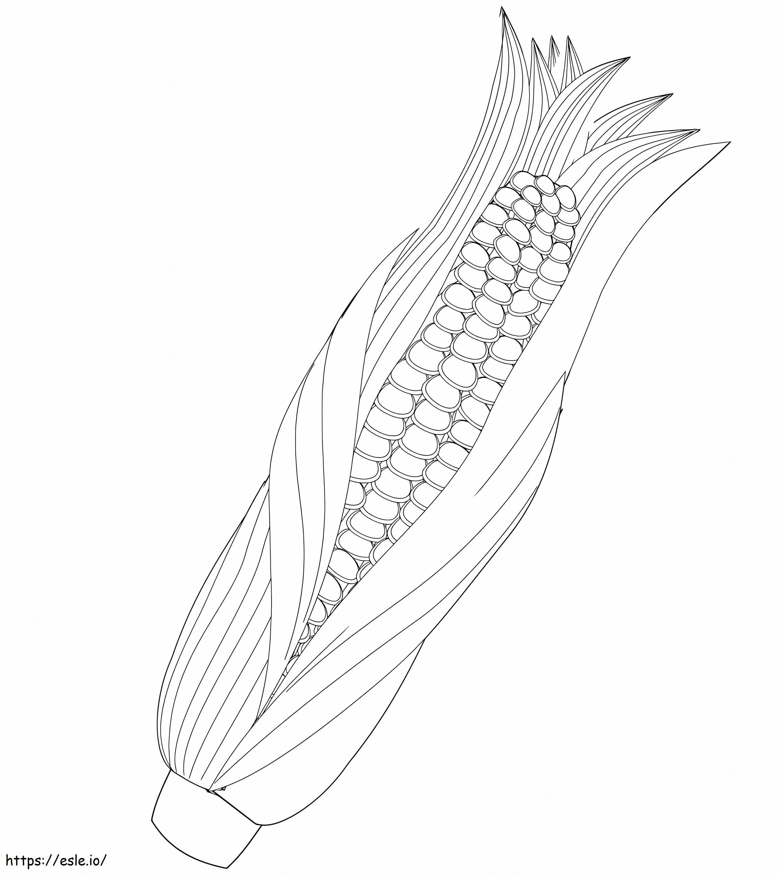 Maize A4 coloring page