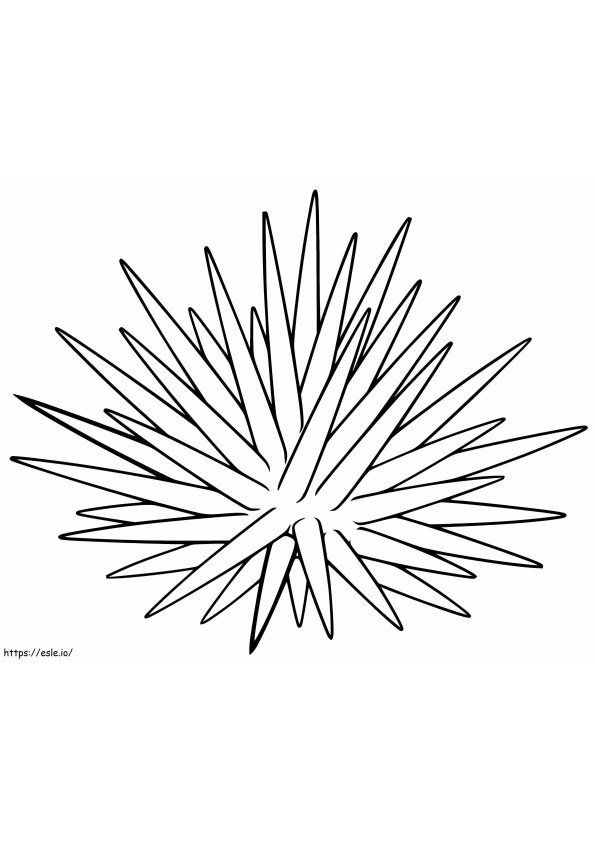 Normal Sea Urchin coloring page