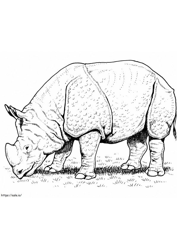 Coloriage Rhinocéros indien à imprimer dessin